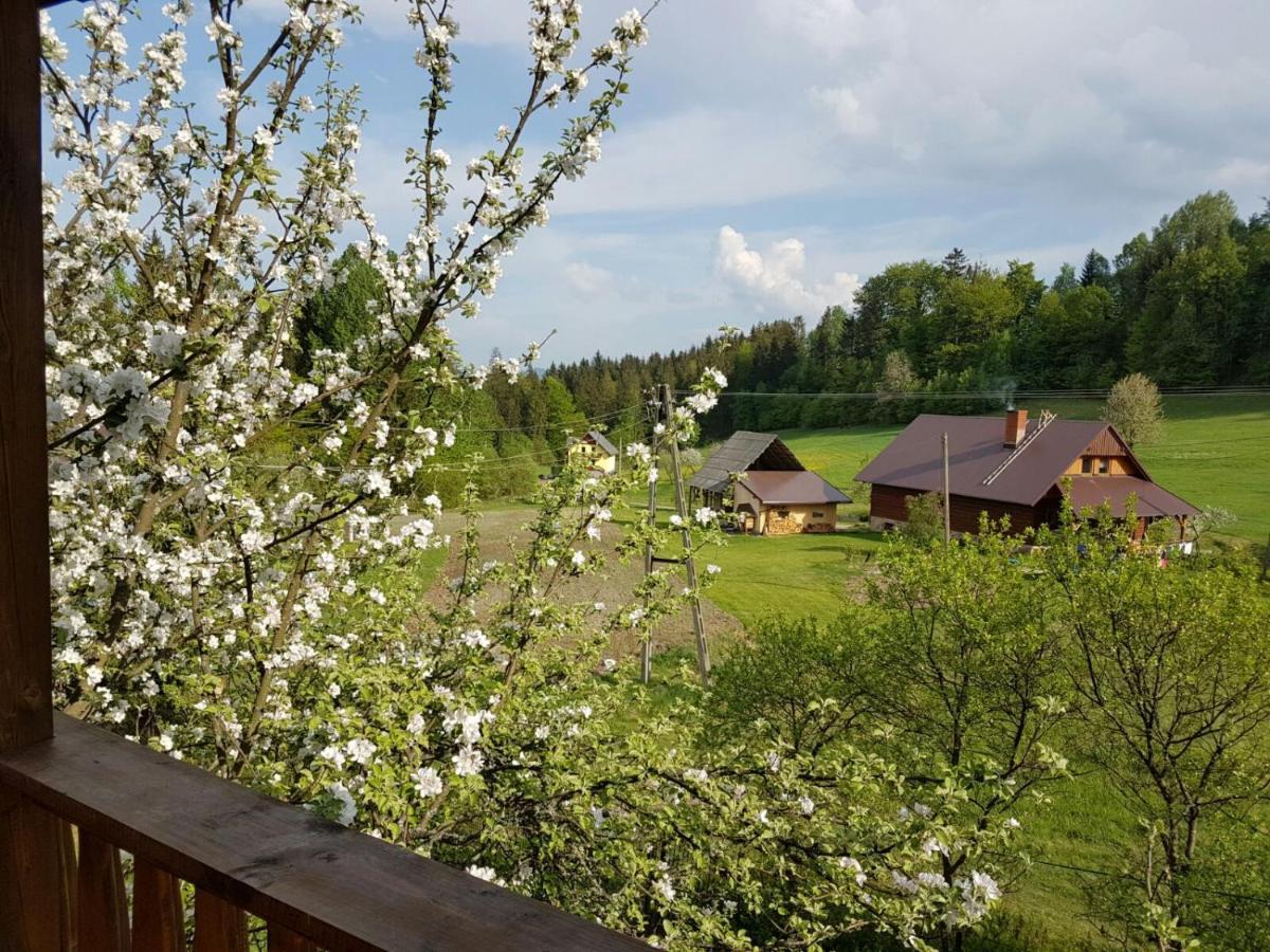 Villa Gosciniec Tokarzonka Istebna Exterior foto