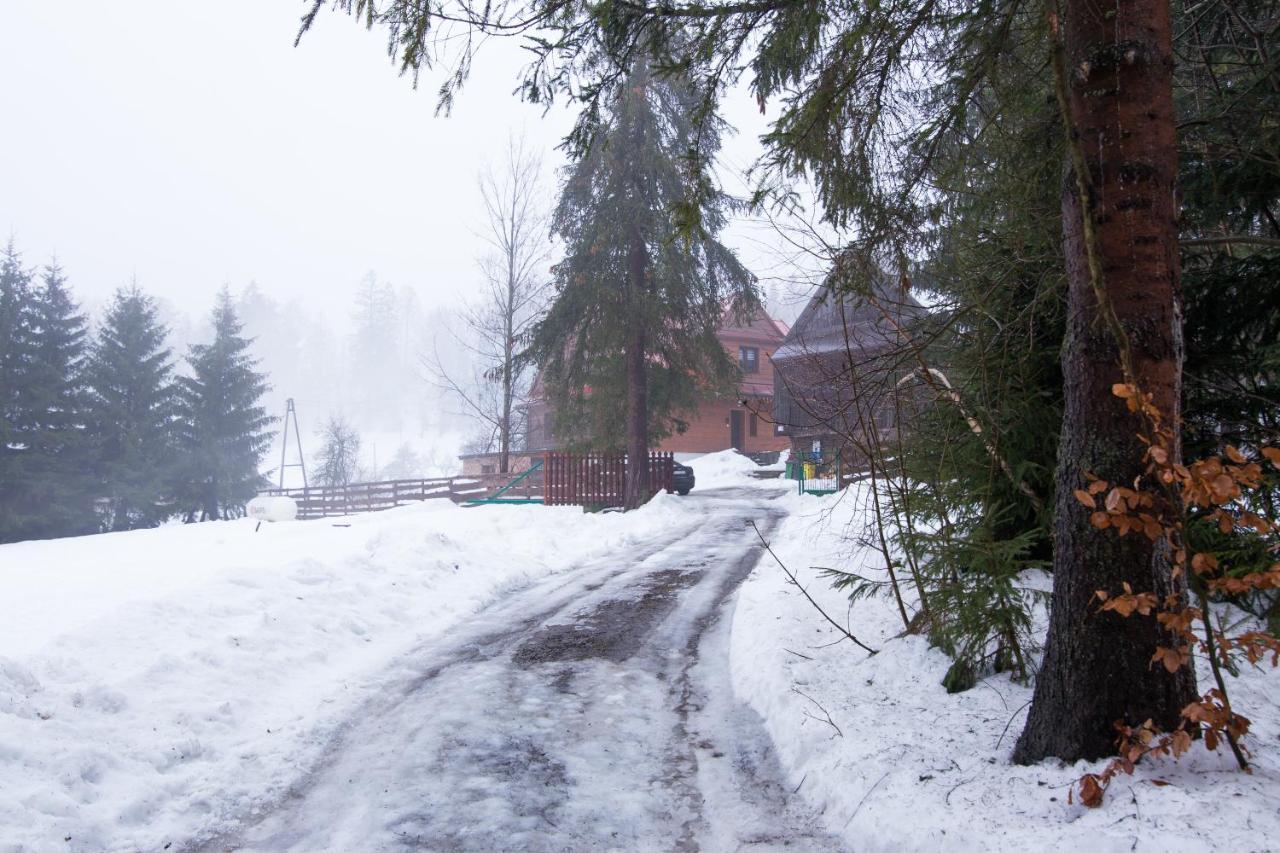 Villa Gosciniec Tokarzonka Istebna Exterior foto